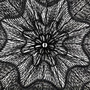 Flower Rattan Hanging Lamp (80 cm) - Natural Boho Lighting | Mandala Stencil
